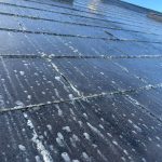 WhatsApp Image 2025-01-06 at 21.14.30_0cce6acc