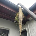 WhatsApp Image 2025-01-06 at 21.14.53_3ca1fc20