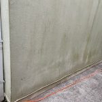 WhatsApp Image 2025-01-06 at 21.15.35_3572b3df