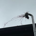 WhatsApp Image 2025-01-06 at 21.15.35_89bfb4e3