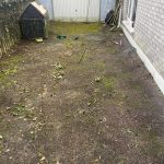 WhatsApp Image 2025-01-06 at 21.15.35_f7f3b57a