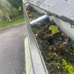 WhatsApp Image 2025-01-06 at 21.15.36_2745afda