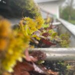 WhatsApp Image 2025-01-06 at 21.15.36_58723376