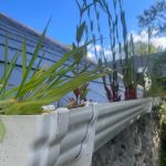 WhatsApp Image 2025-01-06 at 21.15.36_d50a8ec6