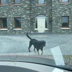 WhatsApp Image 2025-01-06 at 21.15.36_ef4bfdf0